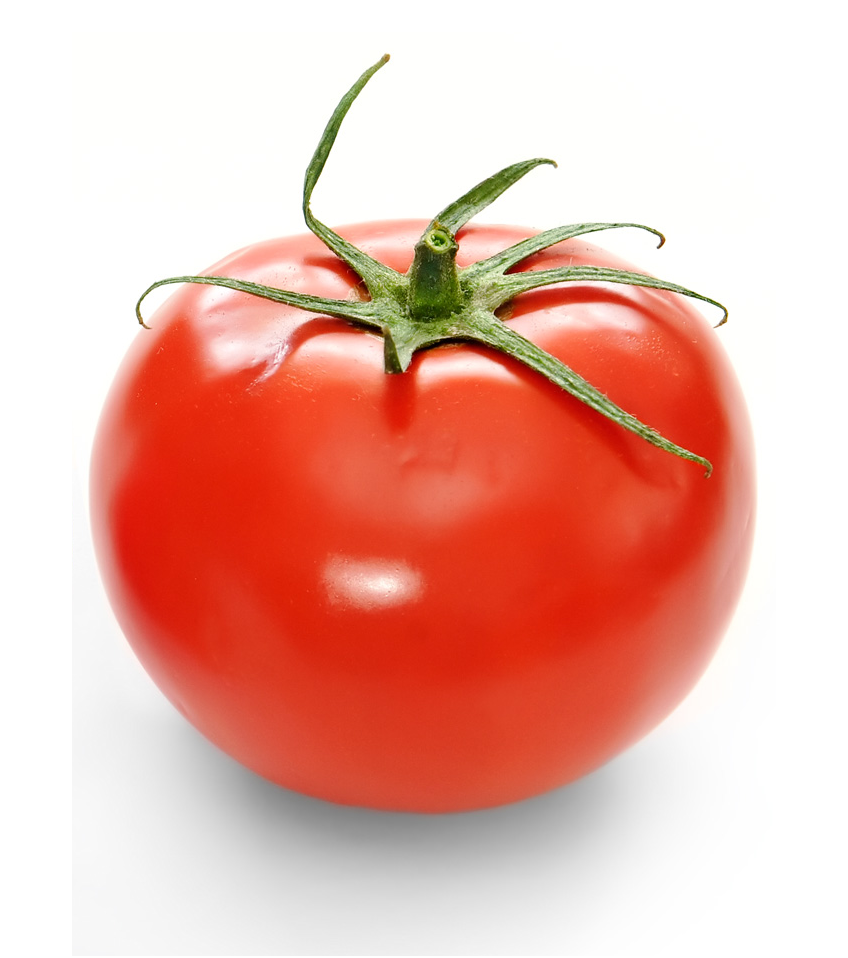 Slika rajčice / paradajza